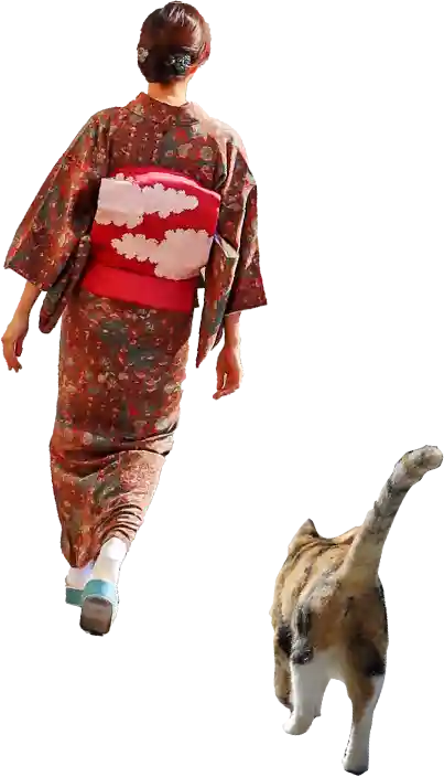 着物を着ている人