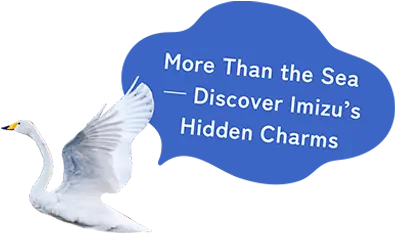 海だけじゃない！ディープな魅力が盛りだくさん！