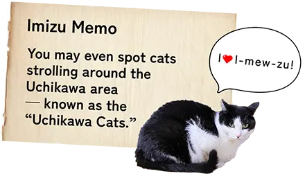 射水MEMO【内川ねこ】猫たちも内川周辺を 散歩しています