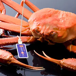 宿の室内とベッド