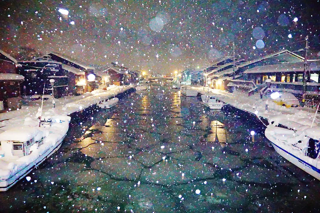 エキゾチック内川