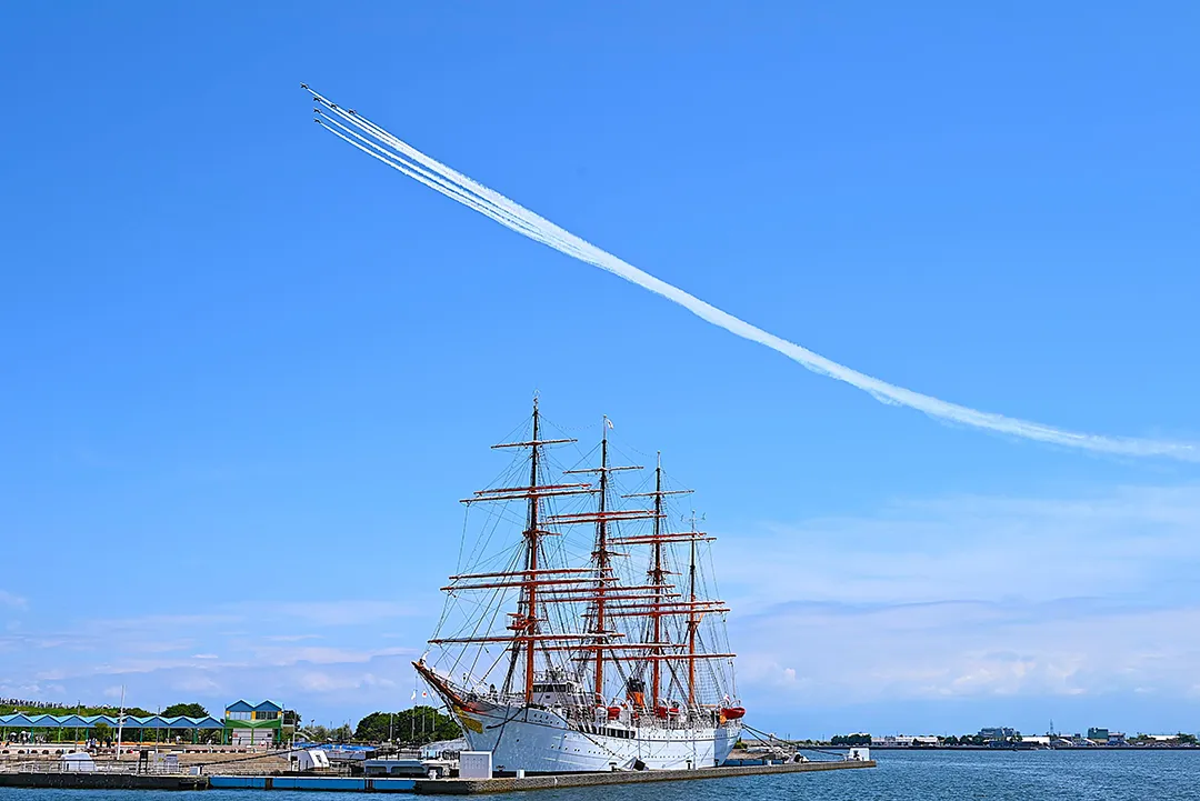 海の貴婦人とドルフィンの共演