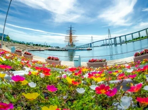 入選【真夏の煌めき】 