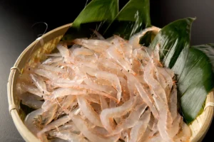 Shrimp Guide