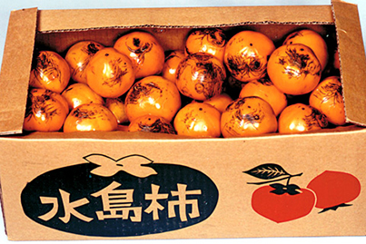 水島柿