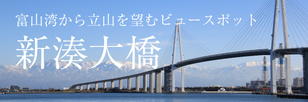 新湊大橋