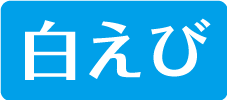 白えび