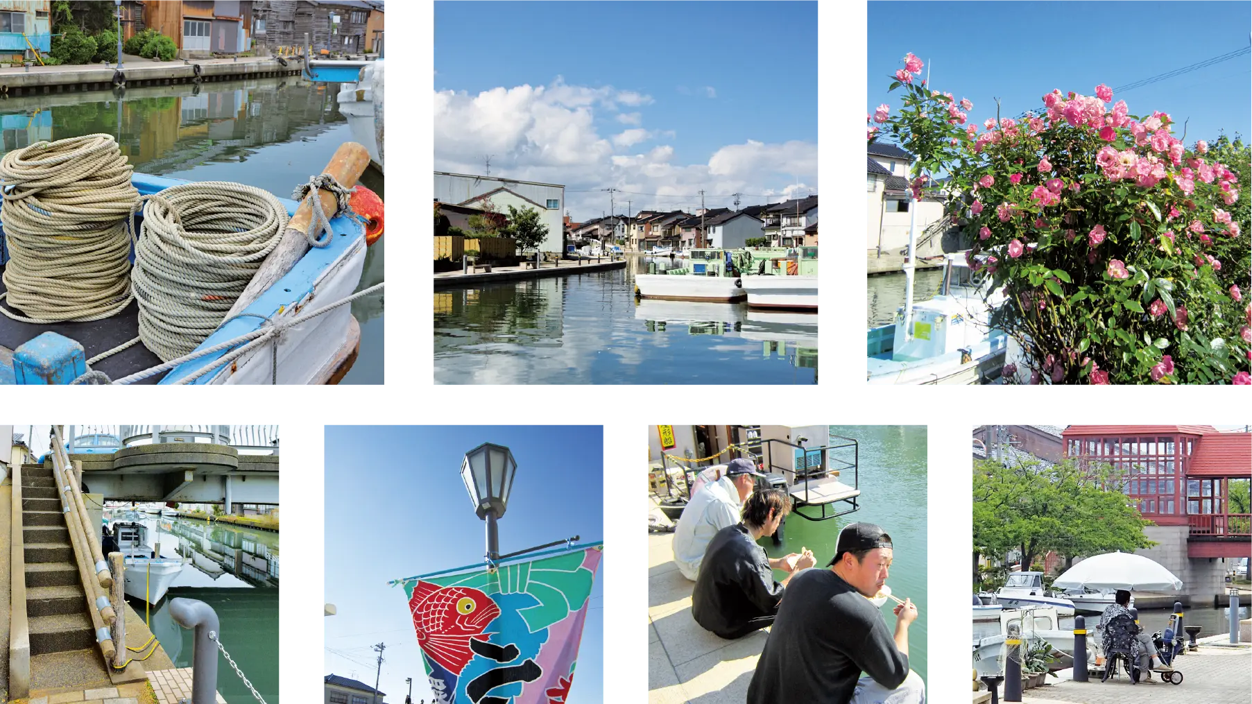 内川の水辺の風景