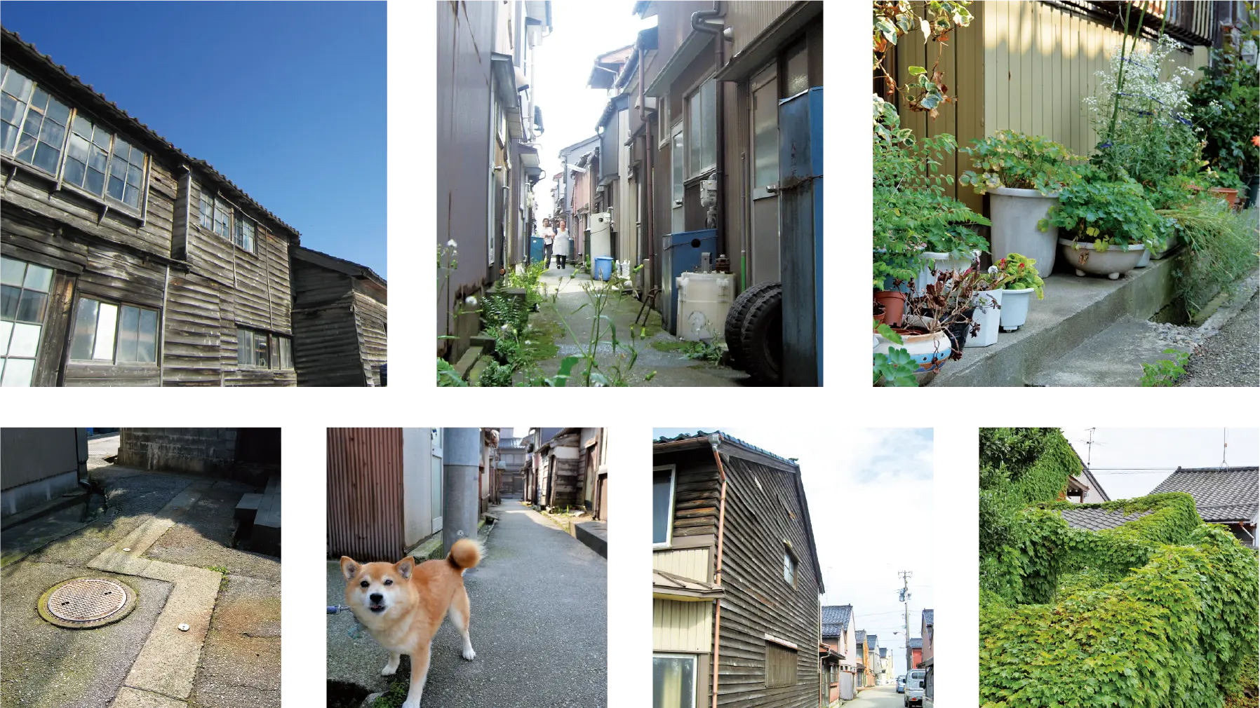 内川の路地の風景