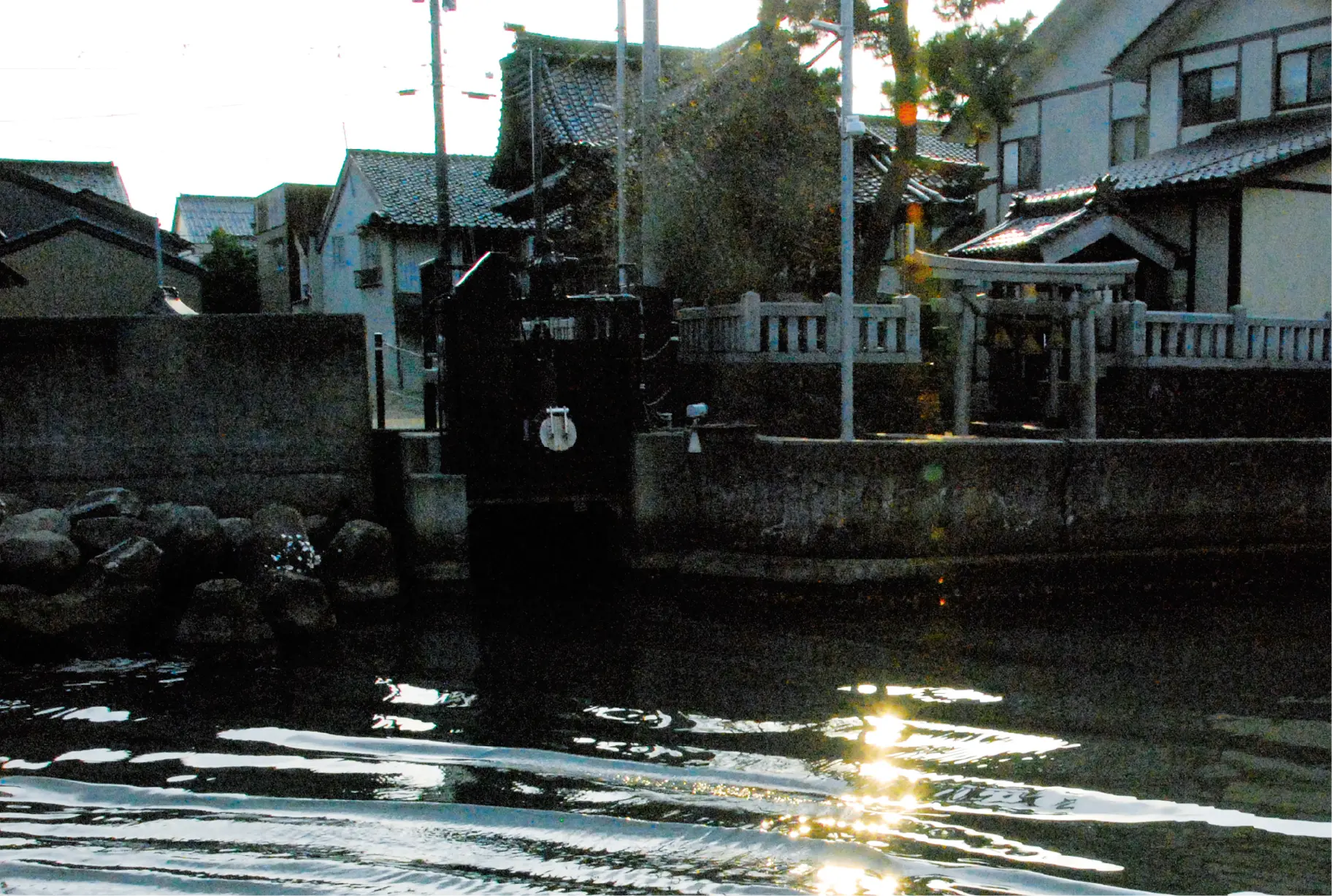 水辺に見える社