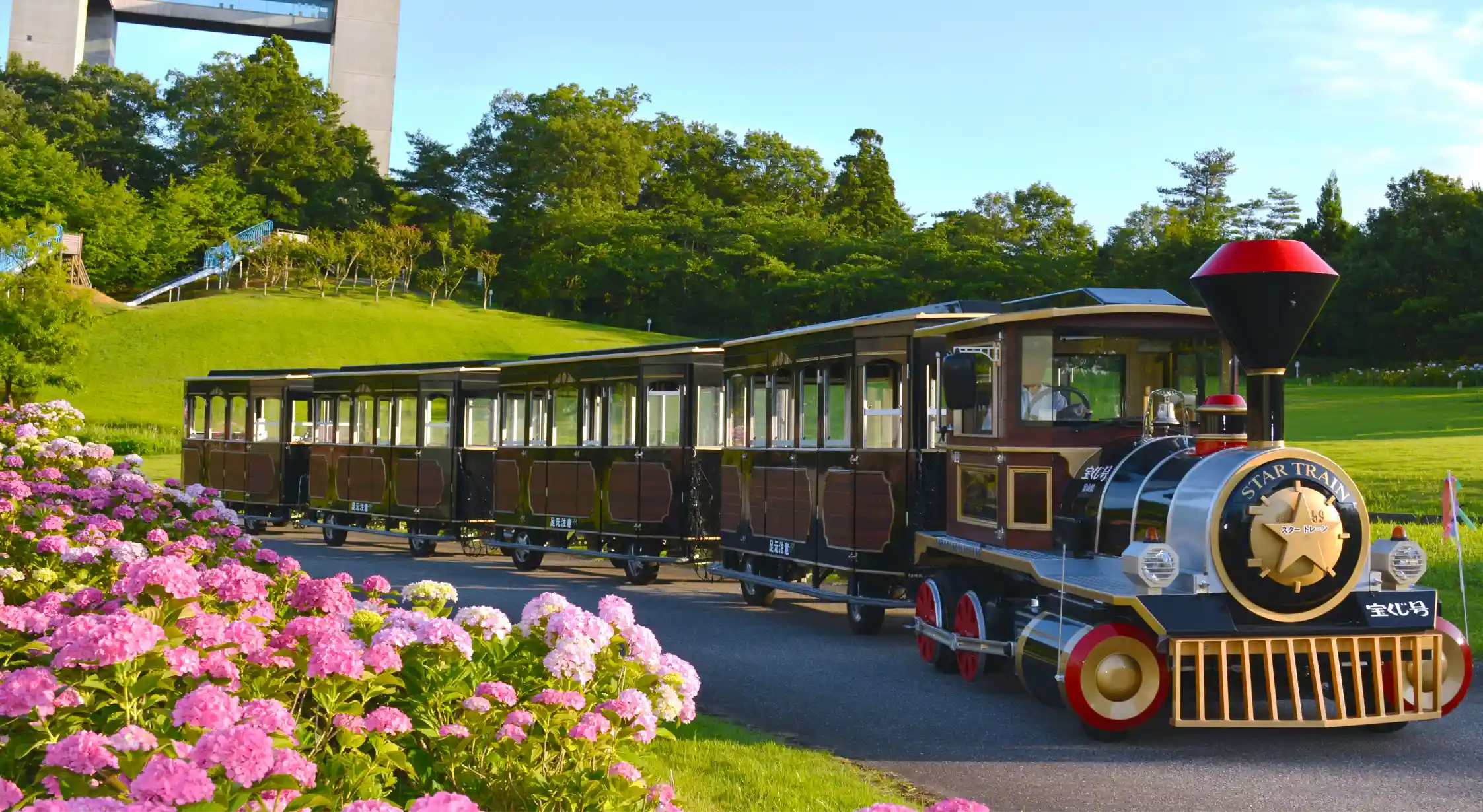 太閤山ランドを走るトレーン