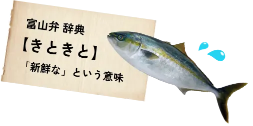 富山弁 辞典【きときと】「新鮮な」という意味