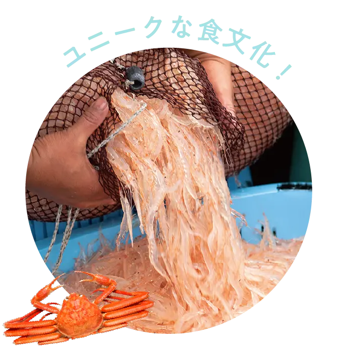 ユニークな食文化！