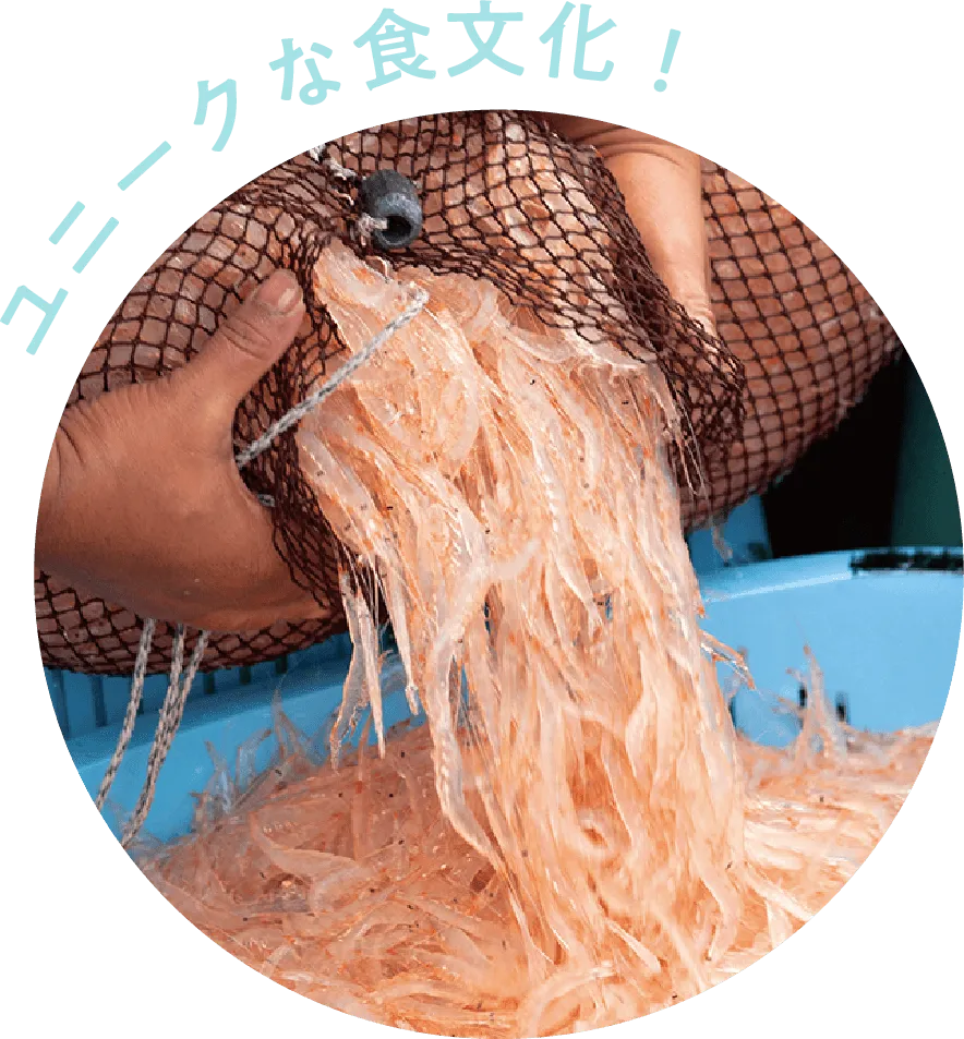 ユニークな食文化！