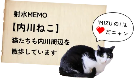 射水MEMO【内川ねこ】猫たちも内川周辺を 散歩しています