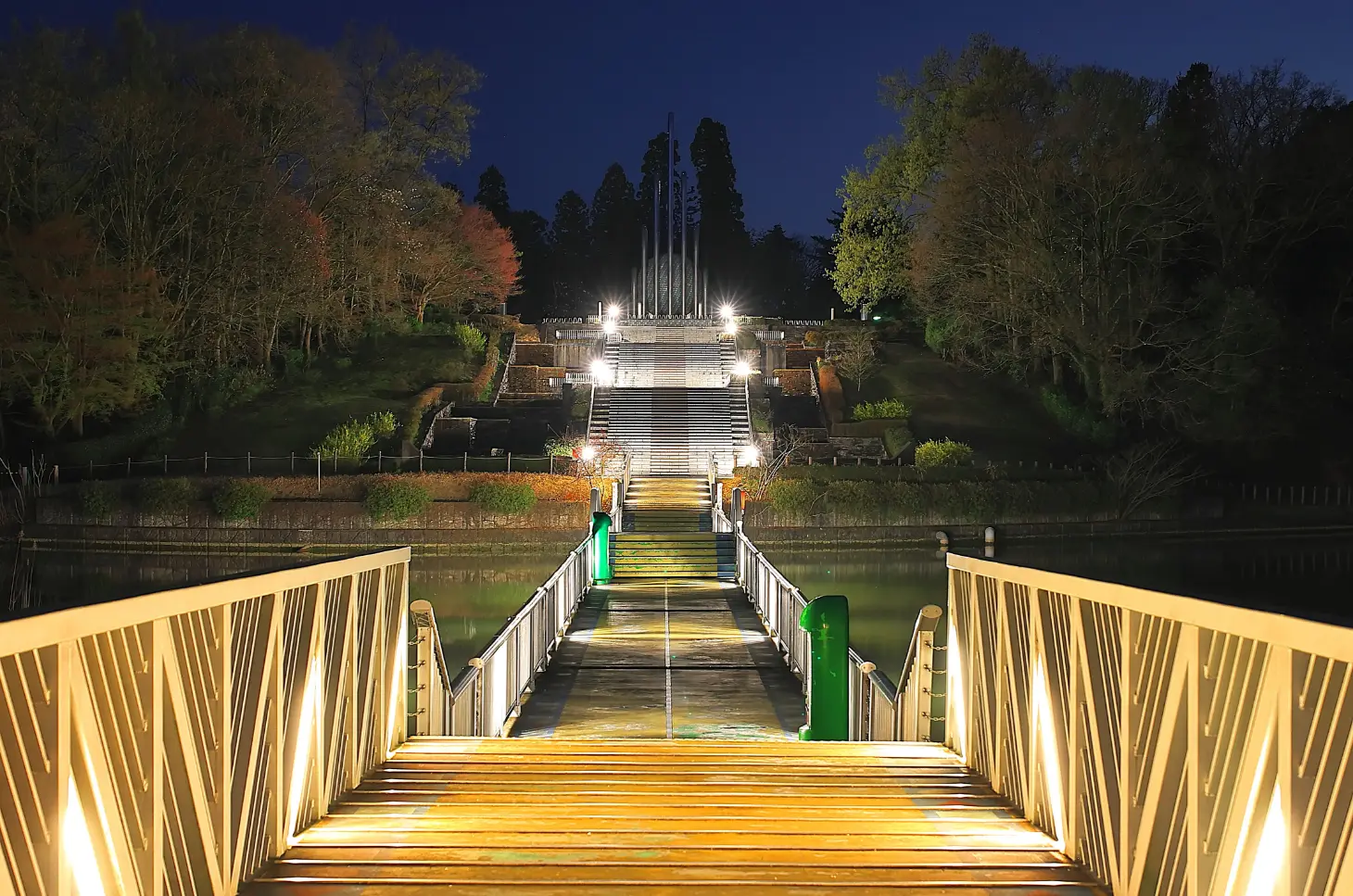 スペースマンダラの花道