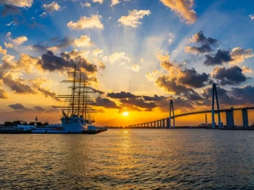 入選【The Sun Also Rises】