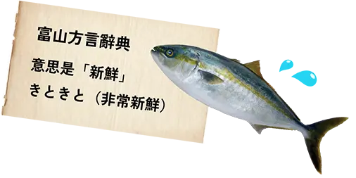 富山弁 辞典【きときと】「新鮮な」という意味