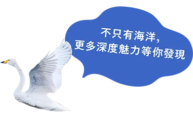 海だけじゃない！ディープな魅力が盛りだくさん！