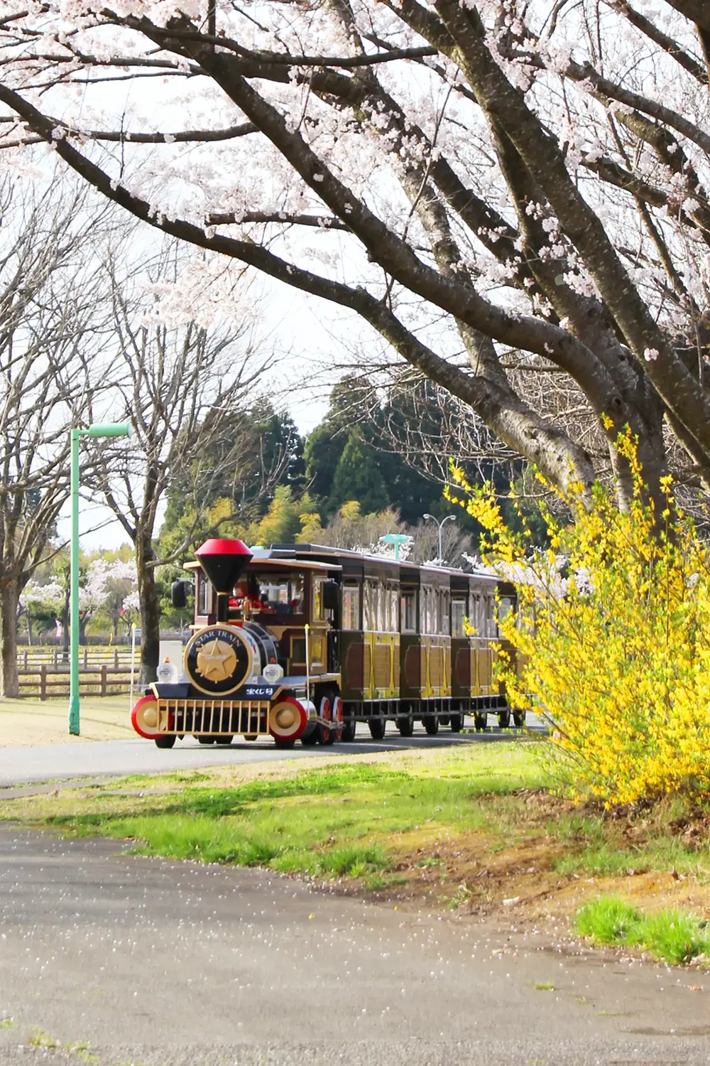 太閤山ランドを走るトレーン