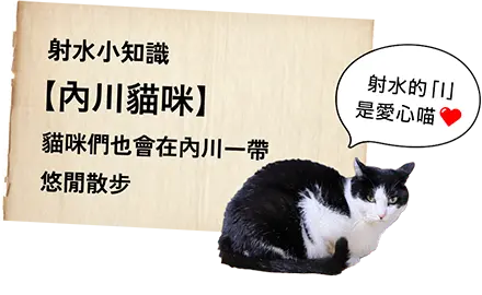 射水MEMO【内川ねこ】猫たちも内川周辺を 散歩しています