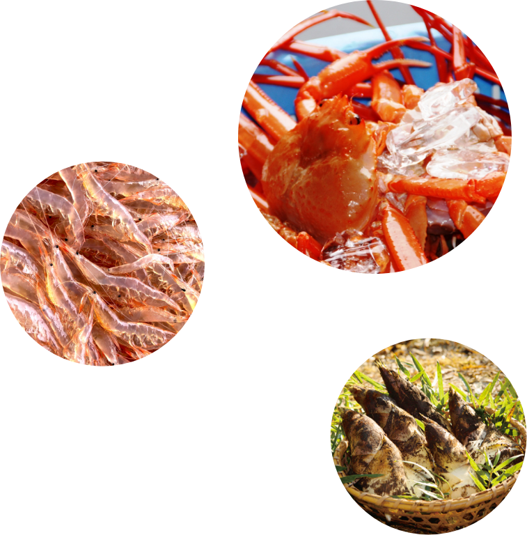 カニ，しろえび，たけのこの写真