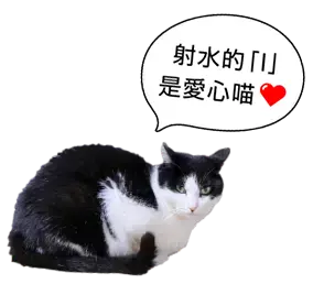 いみずユニークガイド