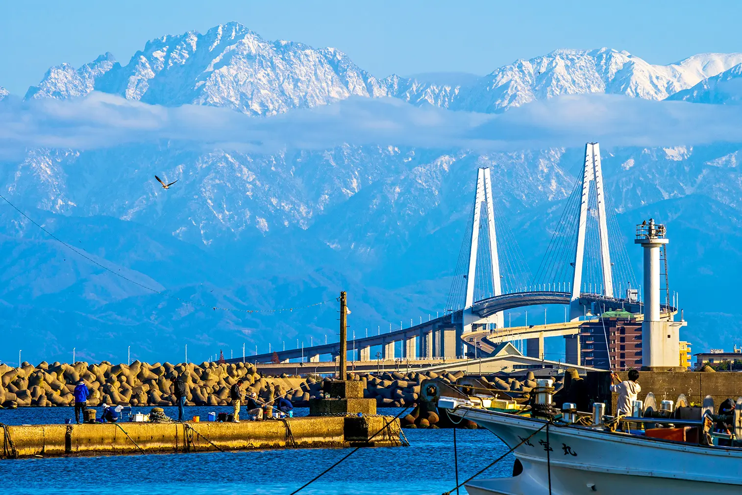 ジップラインを楽しむ女性