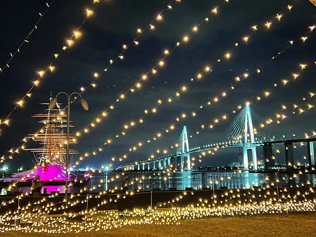ひまわり畑と立山