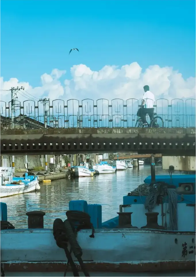 内川を渡る自転車