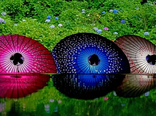 入選【和傘と紫陽花】