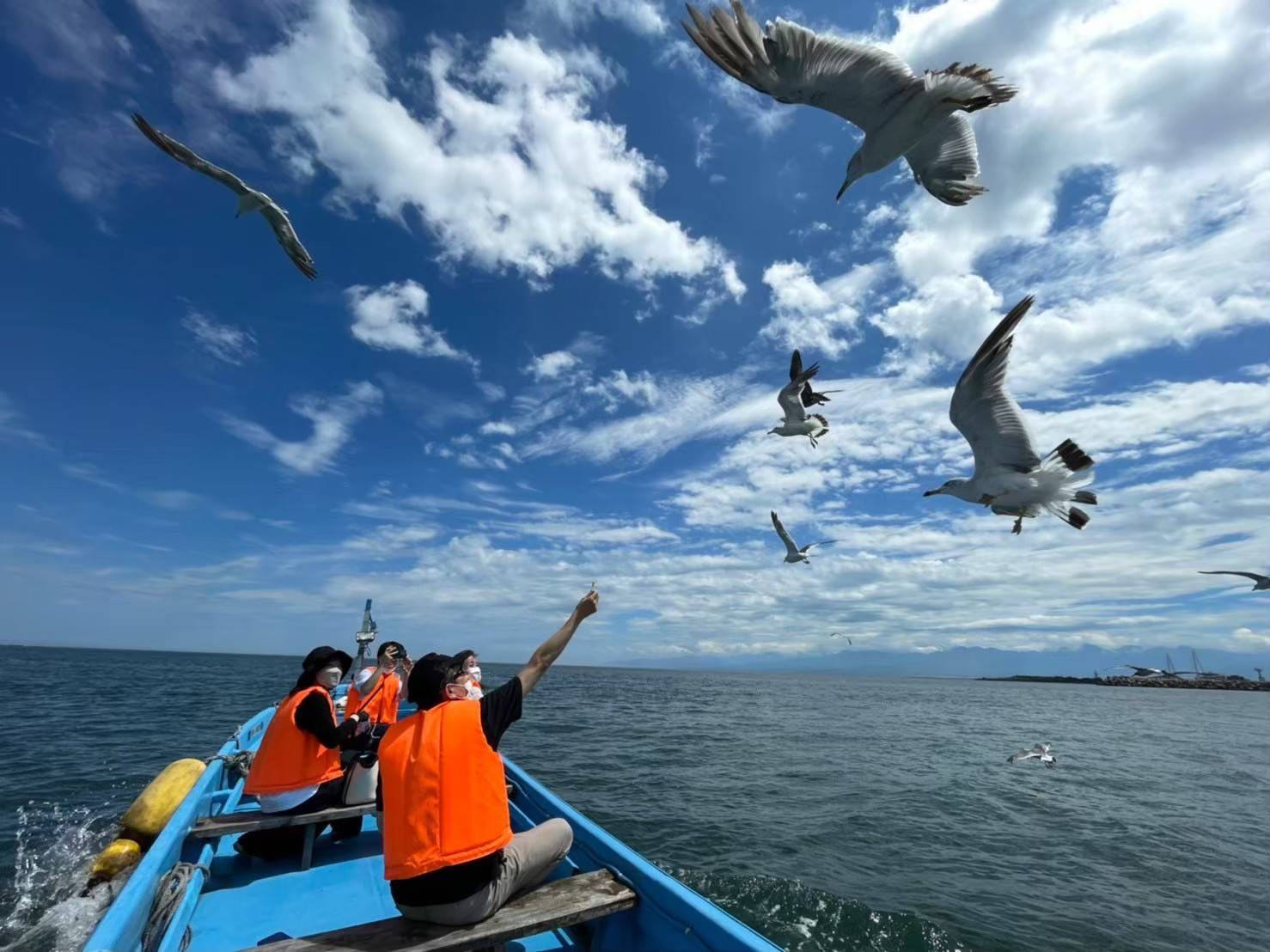 射水海上観光（IMATO）